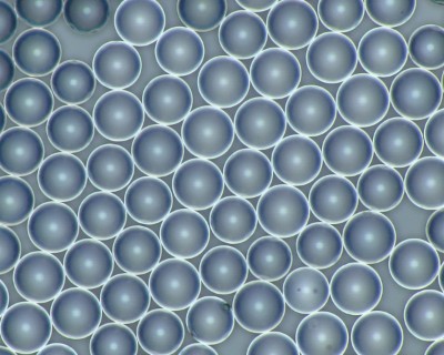 樹脂系微粒子Micropearl&trade;