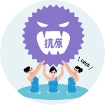 收集性與凝聚性